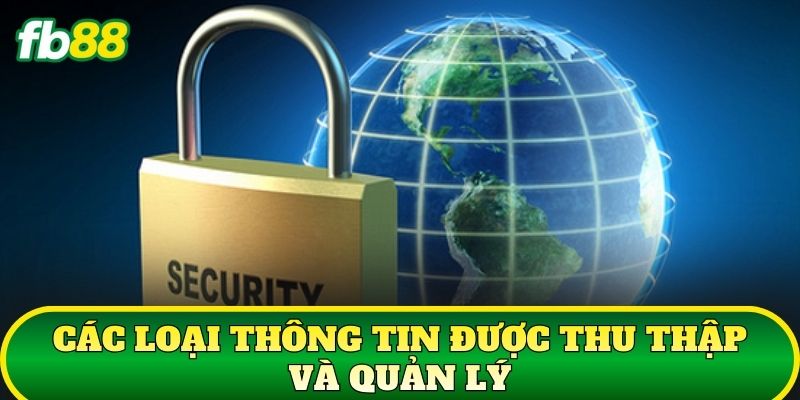 Các loại thông tin được thu thập và quản lý