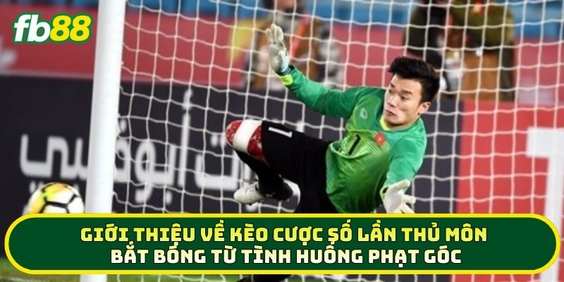 Giới thiệu về kèo Cược Số Lần Thủ Môn Bắt Bóng Từ Tình Huống Phạt Góc