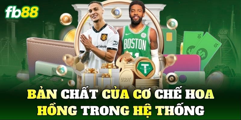 Tiền Com Trong Là Gì? Cách Hiểu Đúng Cơ Chế 1 Bản chất của cơ chế hoa hồng trong hệ thống