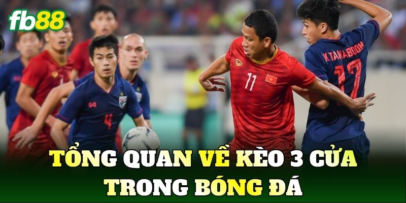 Tổng quan về kèo 3 cửa trong bóng đá