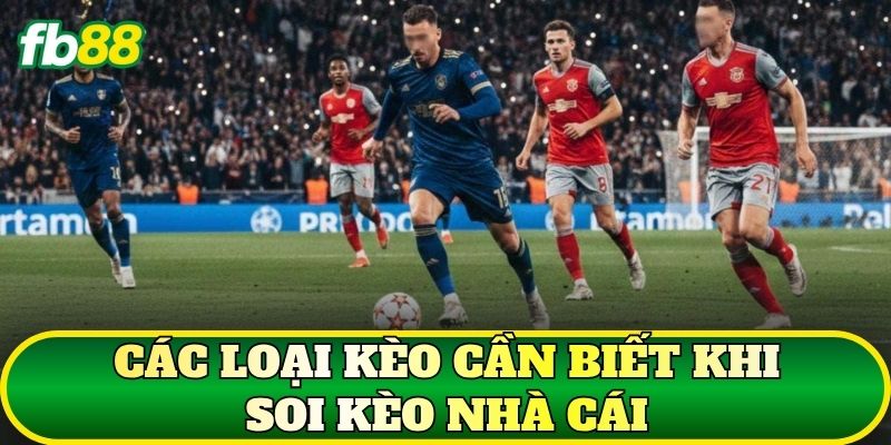 Các loại kèo cần biết khi soi kèo nhà cái