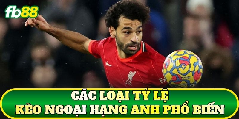 Các loại tỷ lệ kèo Ngoại Hạng Anh phổ biến