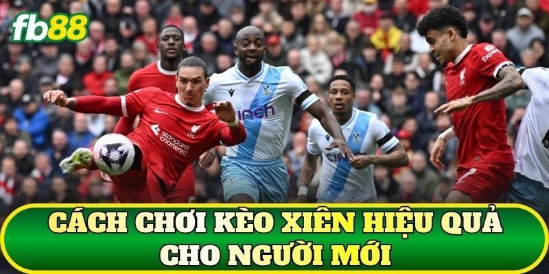 Cách chơi kèo Xiên hiệu quả cho người mới