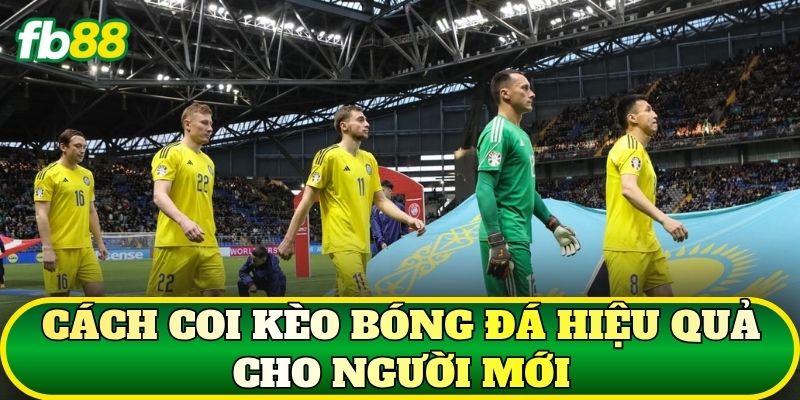 Cách coi kèo bóng đá hiệu quả cho người mới