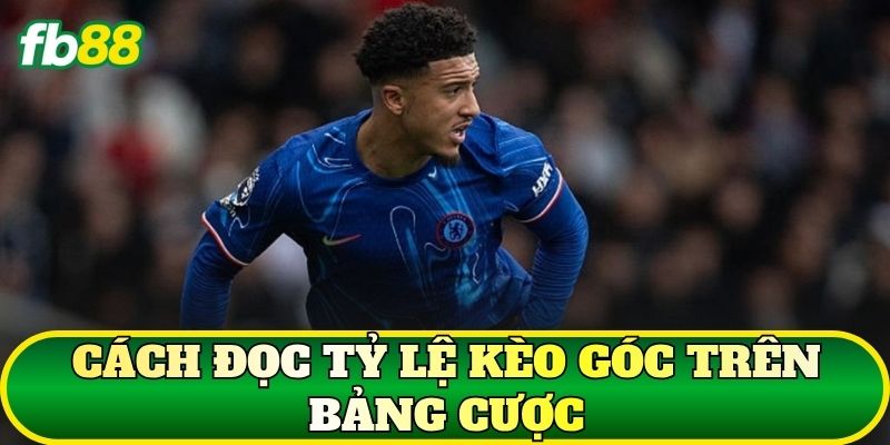 Cách đọc tỷ lệ kèo góc trên bảng cược