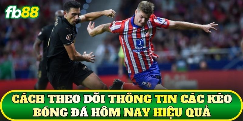 Cách theo dõi thông tin các kèo bóng đá hôm nay hiệu quả