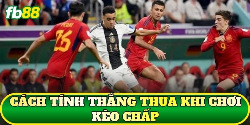 Cách tính thắng thua khi chơi kèo chấp