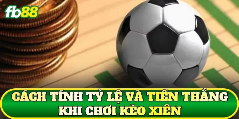 Cách tính tỷ lệ và tiền thắng khi chơi kèo Xiên