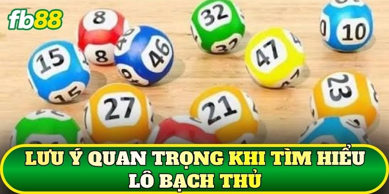 Lưu ý quan trọng khi tìm hiểu Lô Bạch Thủ