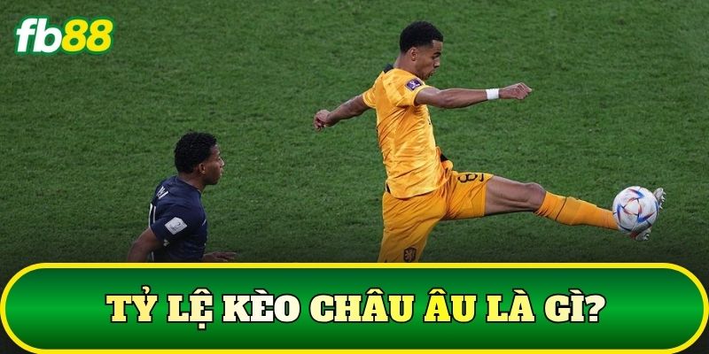 Tỷ lệ kèo châu Âu là gì?